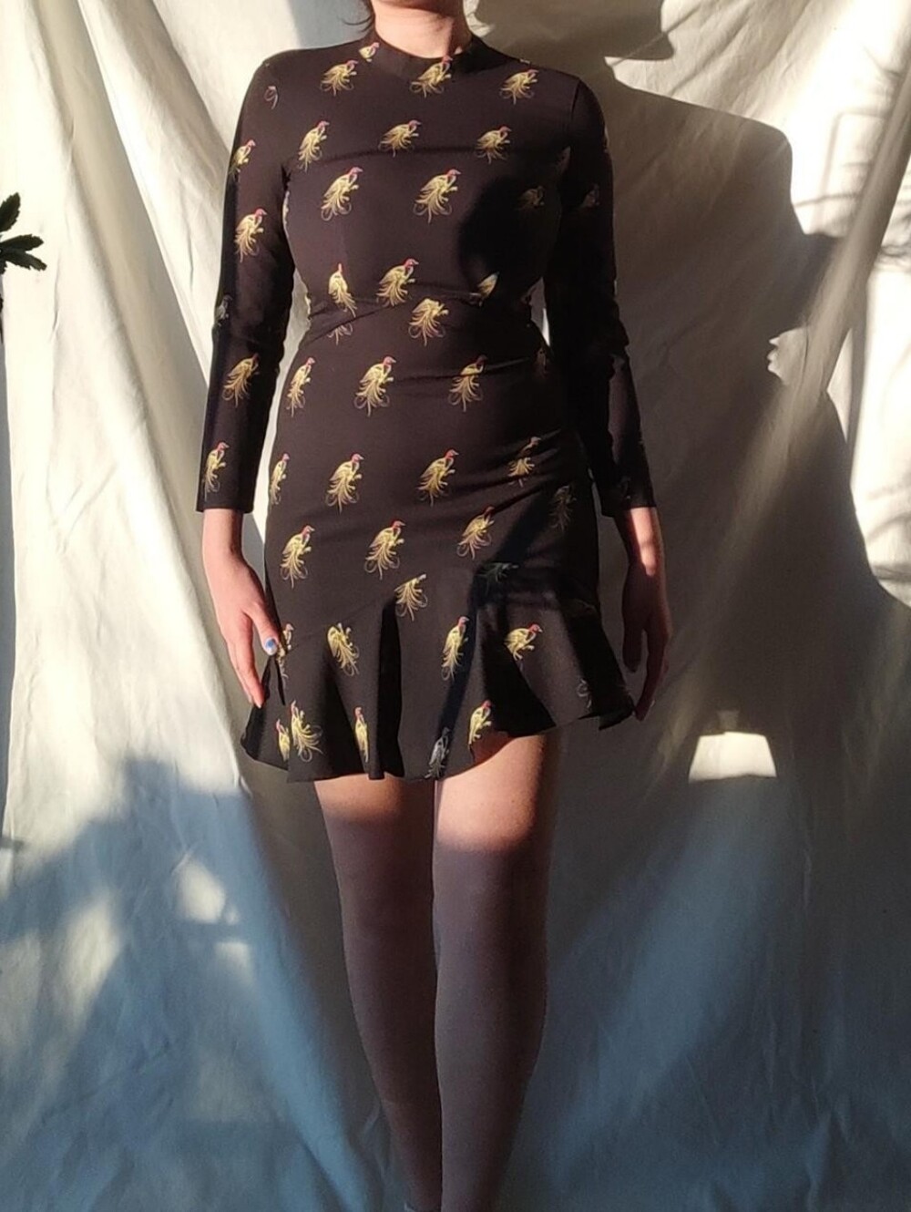 Whistles Black Backless Bird Print Dress